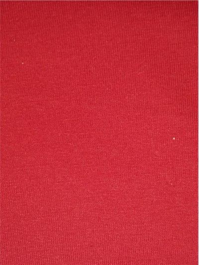 FJ-FRFE    FH-1274  CVC汗布  棉/滌綸   170GSM   正面照